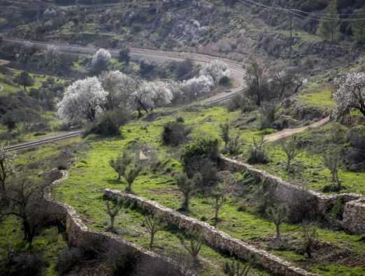 השבוע בירושלים: שיא החורף - 2