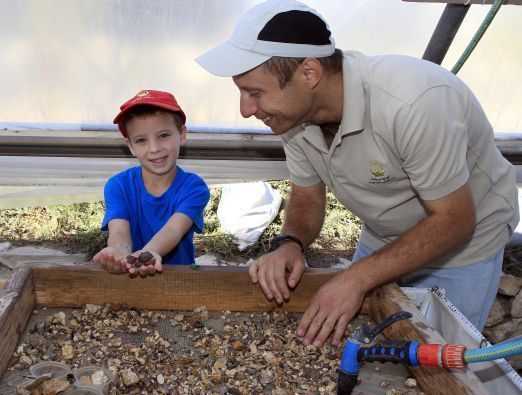 אירועים נבחרים בירושלים לשבוע של ה-9 ביולי 2015 - 5